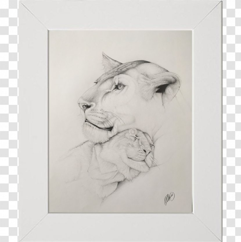 Lion Drawing Pastel Paper Sketch Transparent PNG