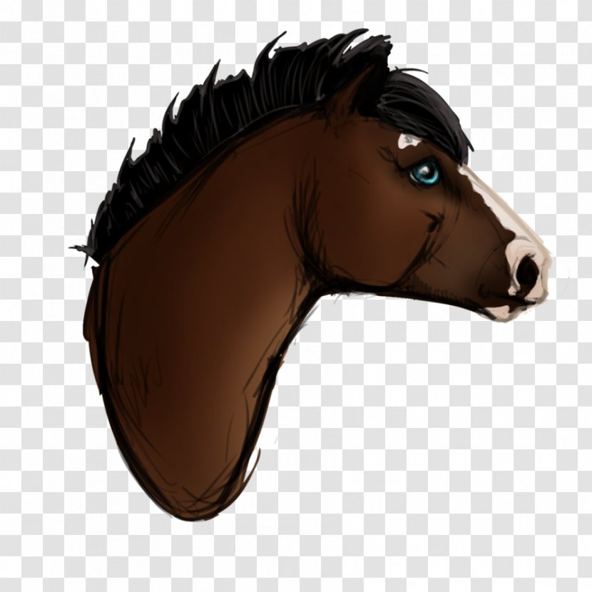 Mane Rein Mustang Pony Halter - Horse Transparent PNG