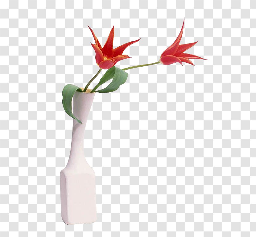 Tulip Flower Bouquet Garden Wallpaper - Red Arrangement Transparent PNG