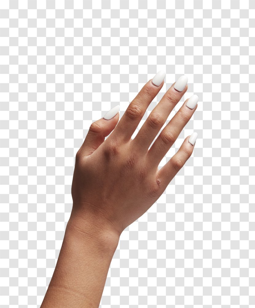 Nail Hand Model Thumb Transparent PNG