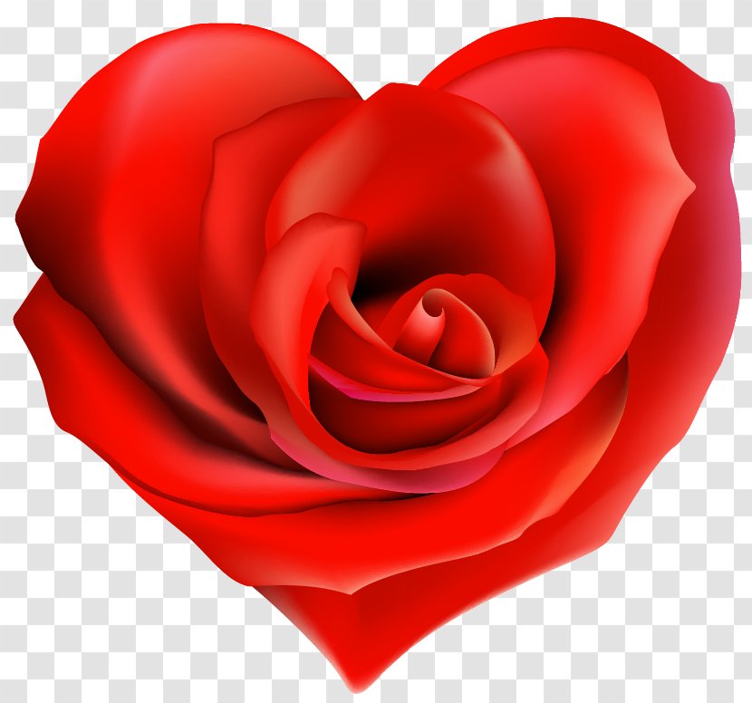 Garden Roses Heart Valentine's Day Clip Art - Rose Order - Red Decorative Transparent PNG