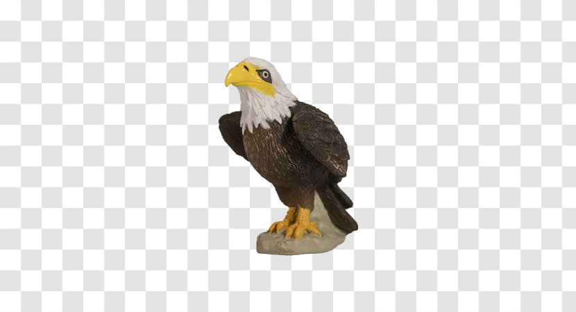 Bald Eagle Yowie Dinosaur Planet National Symbol - Bird - Wingspan Transparent PNG