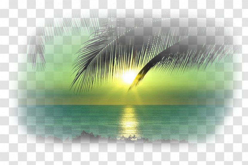 Sea Desktop Wallpaper Clip Art - Eyelash - Scenery Transparent PNG