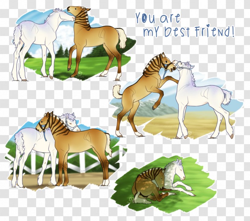 Mustang Foal Clip Art Quagga Mane - Horse - Friendship Cats Transparent PNG