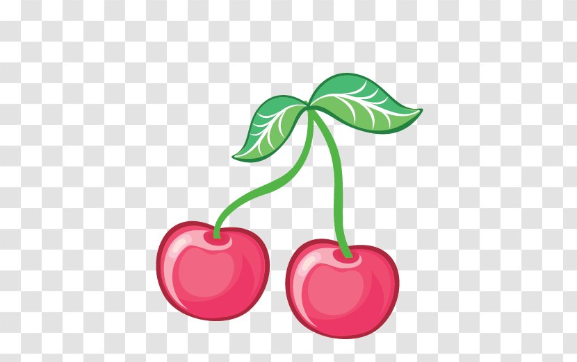 Cherry Fruit Cerasus Transparent PNG