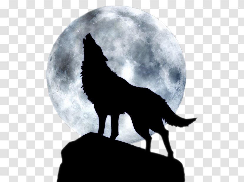 Dog Full Moon T-shirt Black Wolf - Carnivoran - BLUE WOLF Transparent PNG