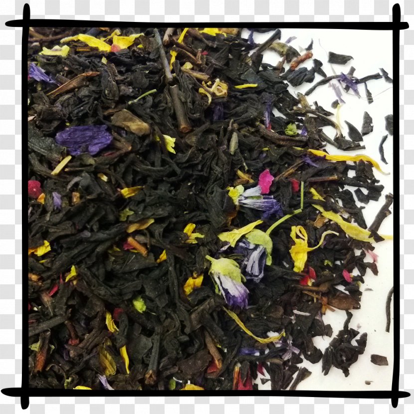 Nilgiri Tea Oolong Plant Scrap - Sencha - Leaves Ink Transparent PNG