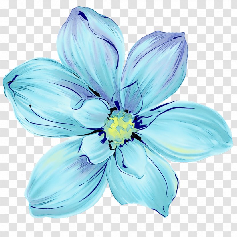 Petal Blue Flower Plant Flowering - Cut Flowers Herbaceous Transparent PNG