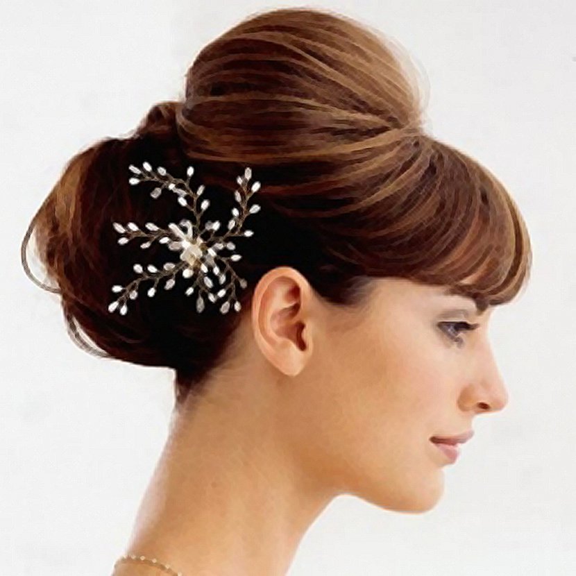 Hairstyle Updo Bun Beauty Parlour - Chin Transparent PNG