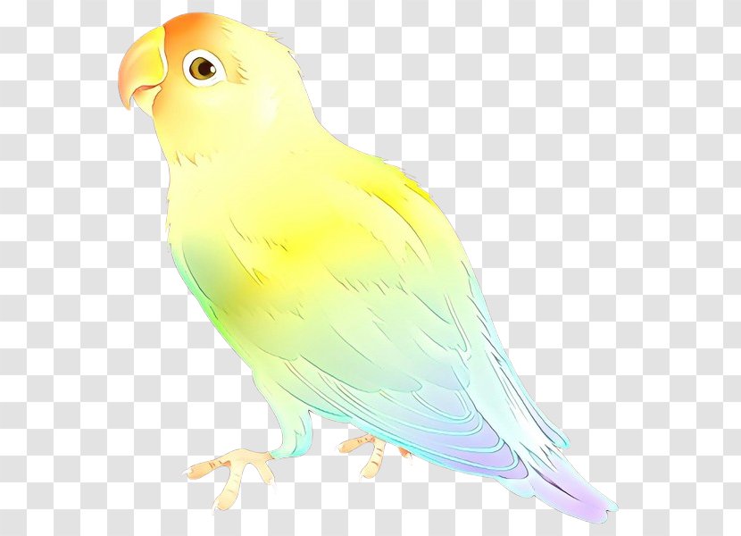 Lovebird Macaw Parakeet Beak Feather - Perching Bird - Fauna Transparent PNG