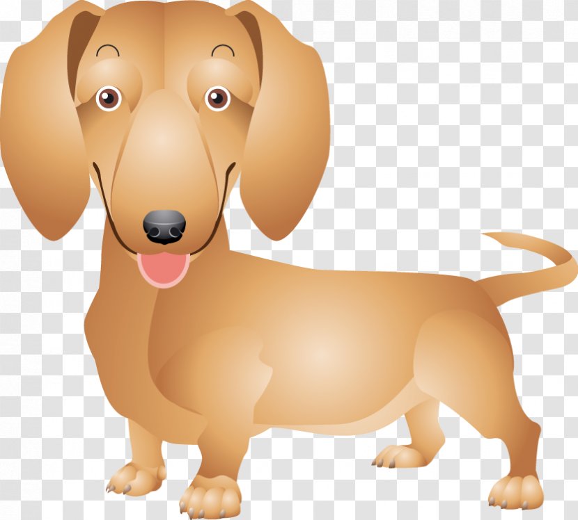 Dachshund Wedding Invitation Birthday Gift Puppy - Companion Dog Transparent PNG