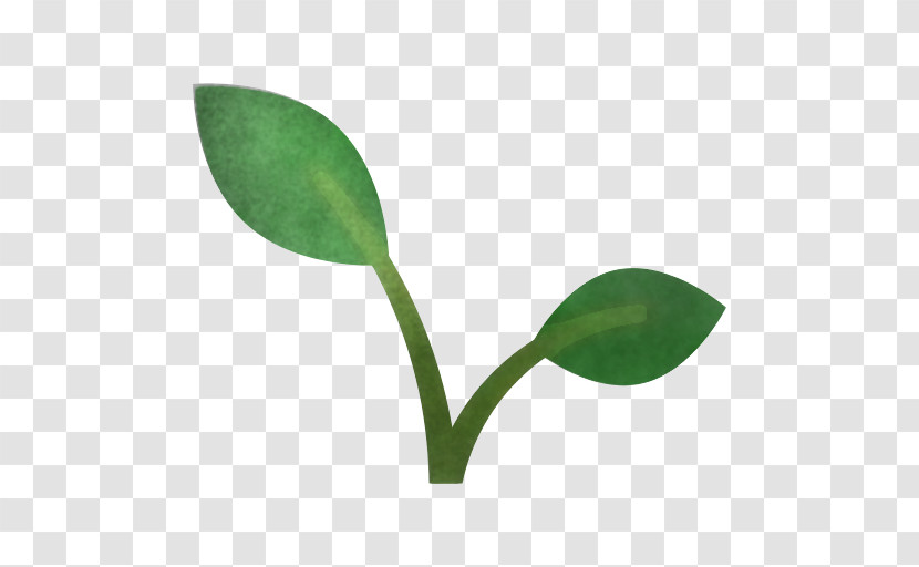 Leaf Plant Stem Photosynthesis Plant Reproduction Transpiration Transparent PNG