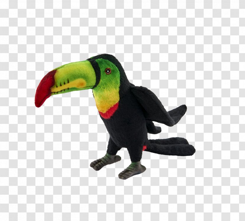Bird Parrot Toucan Stuffed Animals & Cuddly Toys Piciformes Transparent PNG