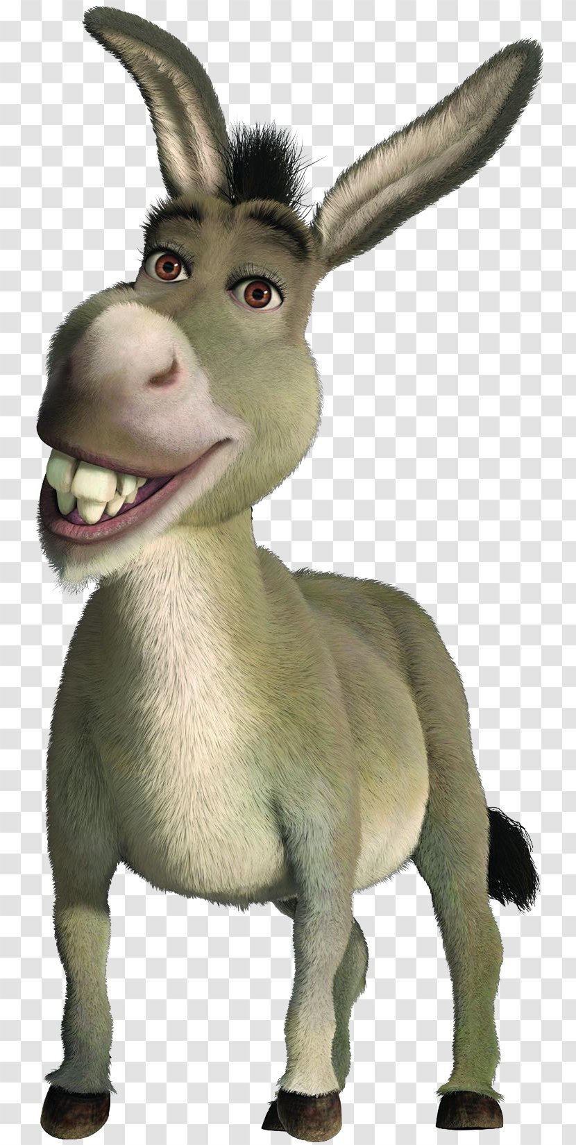 Donkey Princess Fiona Shrek The Musical Film Series - Goats Transparent PNG