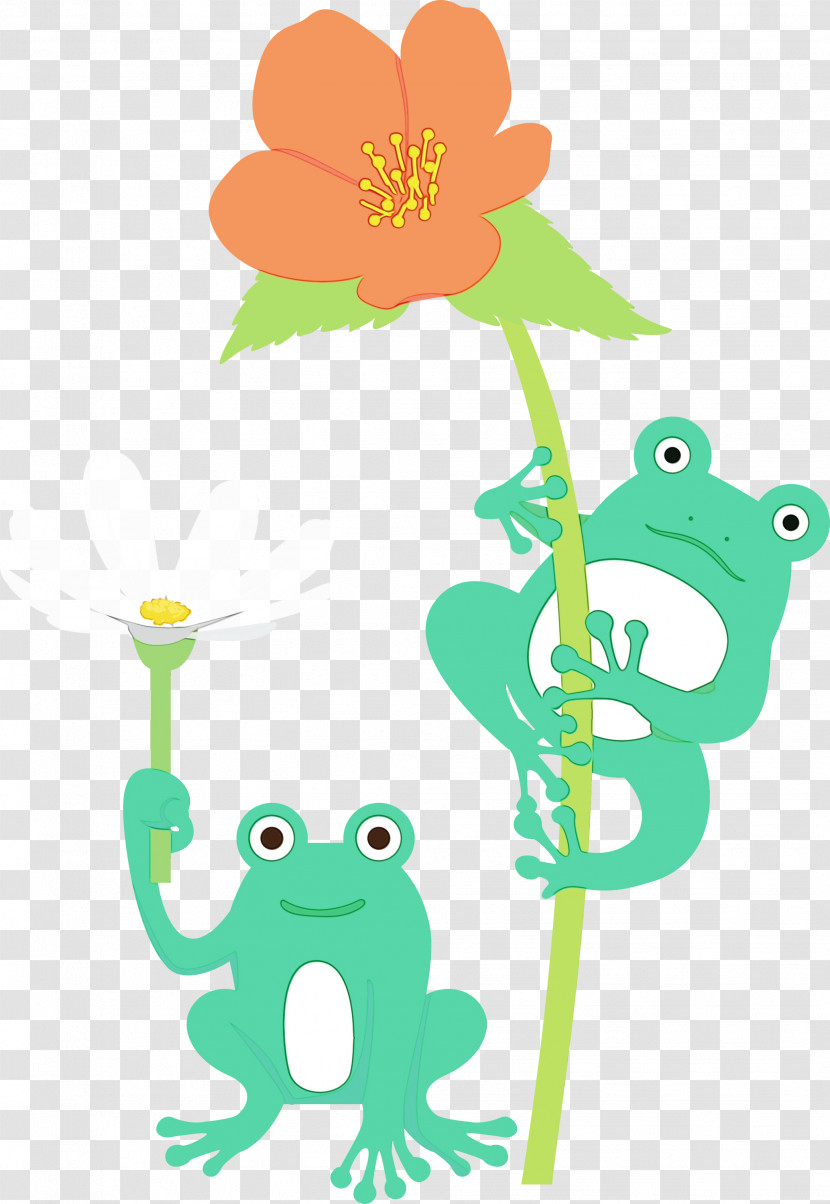 Frogs Cartoon Tree Frog Green Flower Transparent PNG