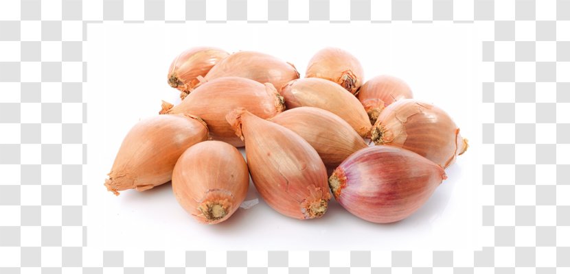 Shallot Vegetable Bulb Stock Photography - Onion Transparent PNG