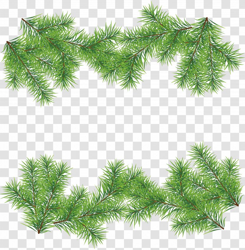 Christmas Tree Clip Art - Plant - Fir-tree Transparent PNG