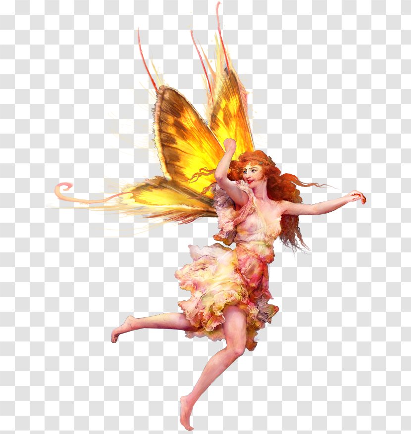 Fairy Elf Clip Art - Photography Transparent PNG