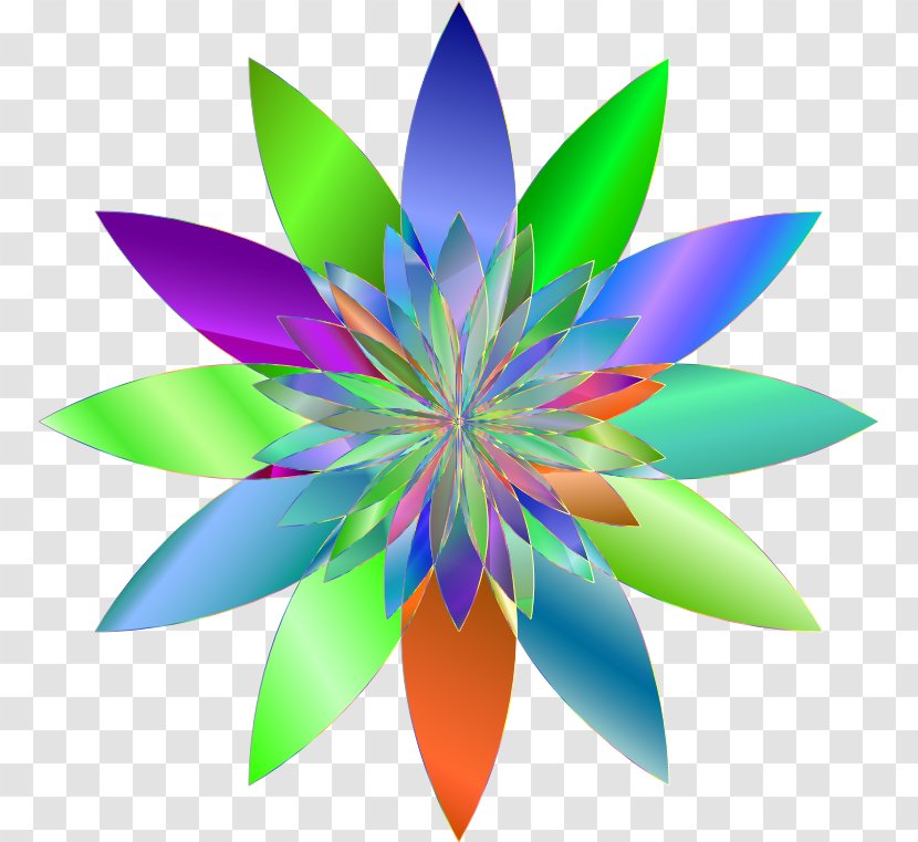 Flower Bouquet Clip Art - Pseudanthium - Floral Background Transparent PNG