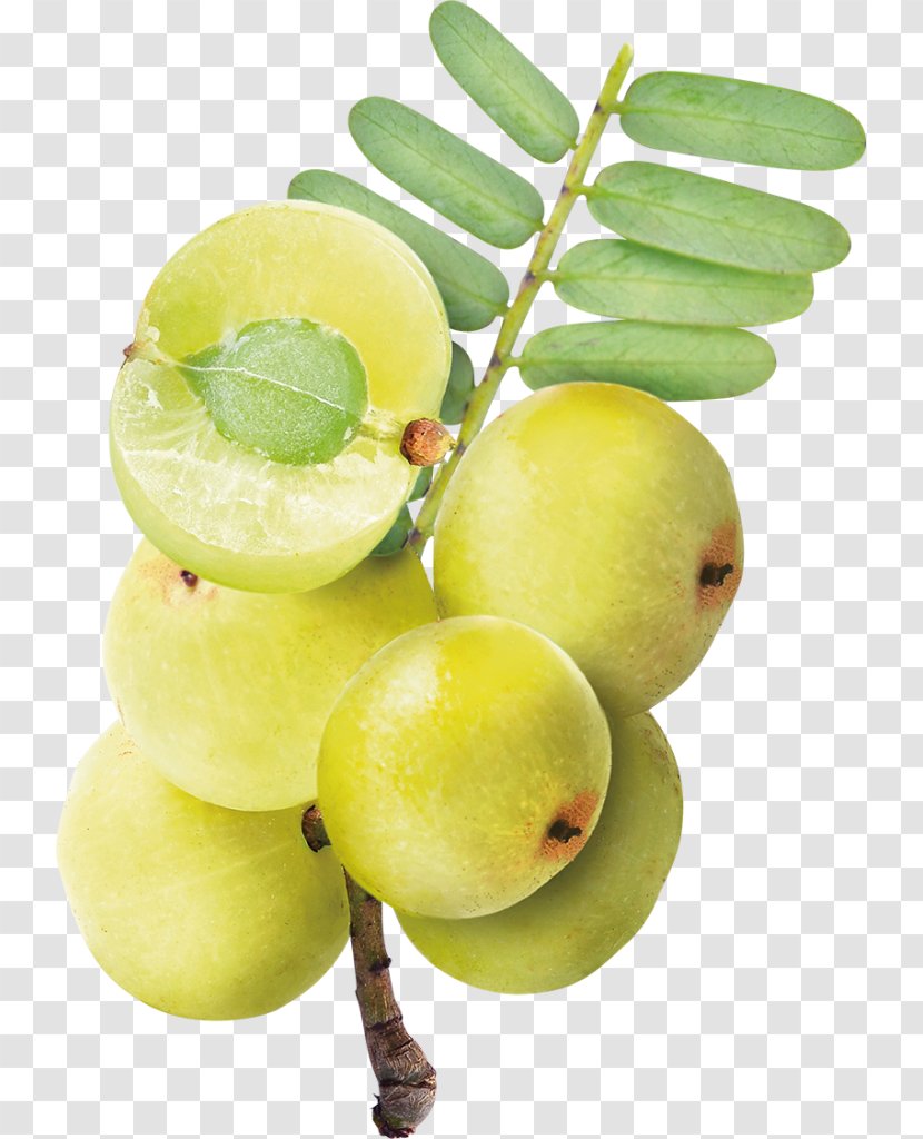 Key Lime Indian Gooseberry Juice Persian - Sweet Lemon Transparent PNG