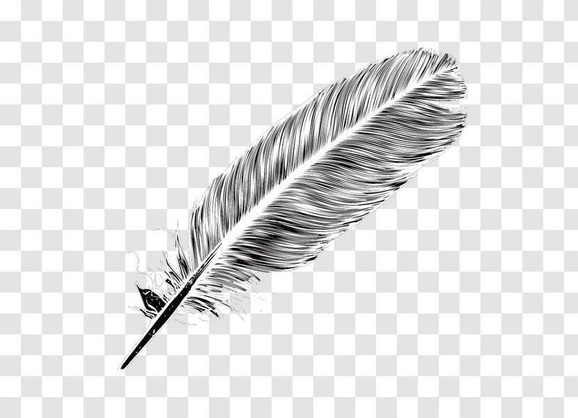 The Lost Language Of Plants Book Non-fiction Feather - A Black Free Pull Element Transparent PNG