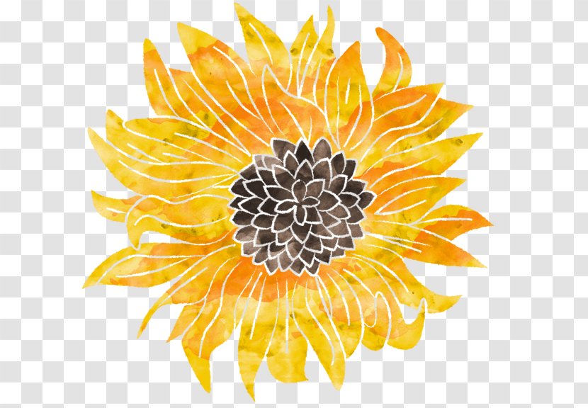 Sunflower - Yellow - Seed Petal Transparent PNG