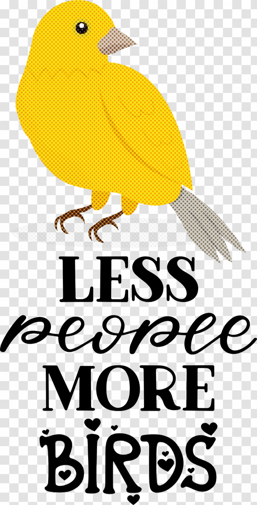 Less People More Birds Birds Transparent PNG