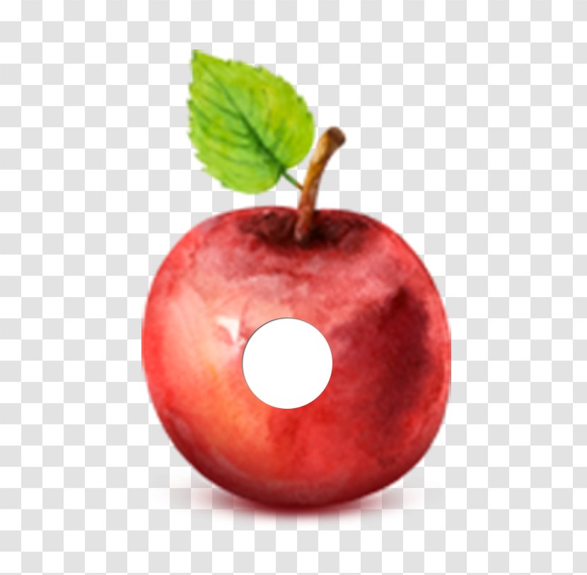 Apple Watercolor Painting Drawing - Photography - Eric Carle Transparent PNG
