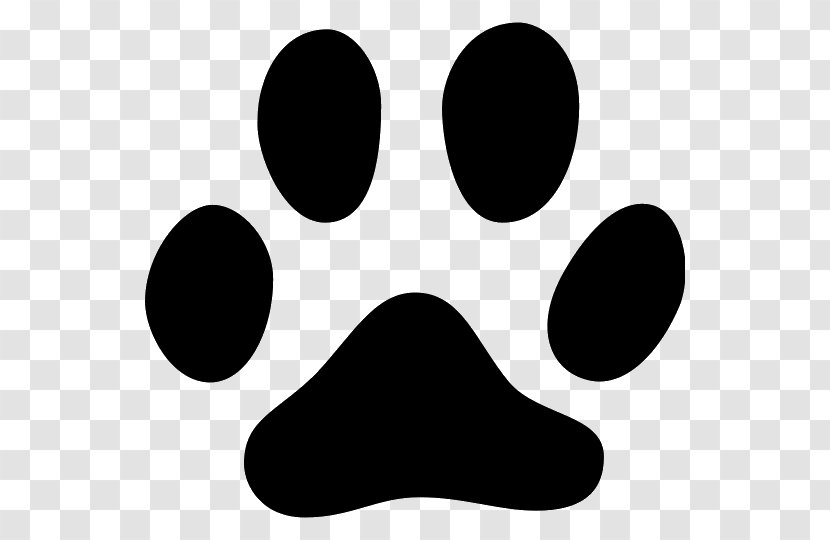 Cat Kitten Paw Footprint Animal Track Transparent PNG