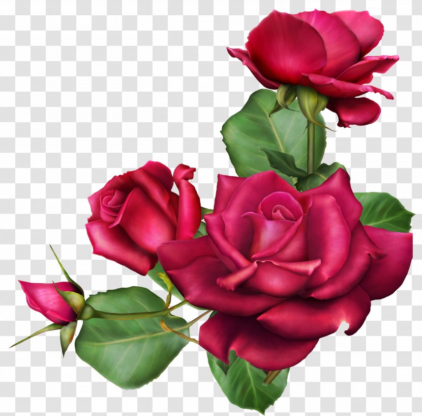 Autumn's Wish Cut Flowers Garden Roses Flower Bouquet - Rose Transparent PNG