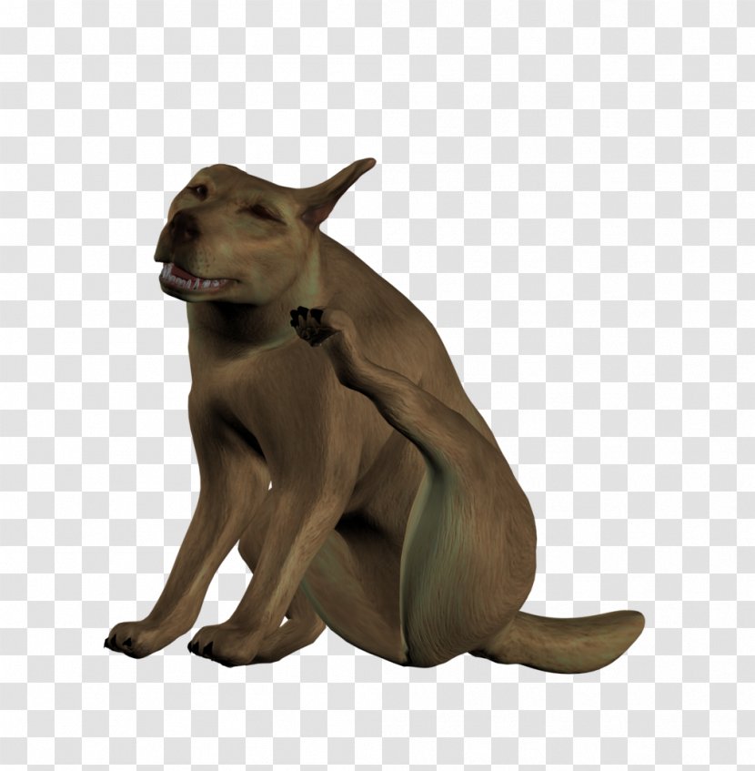 Dog Stock Macropodidae Cat Male - 3d Transparent PNG