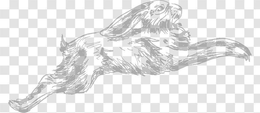 Canidae Dog Drawing Line Art Sketch - Organism - Savoy Cabbage Transparent PNG