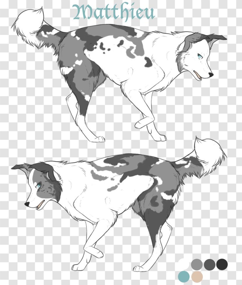 Dog Breed Cat Sketch - Like Mammal Transparent PNG