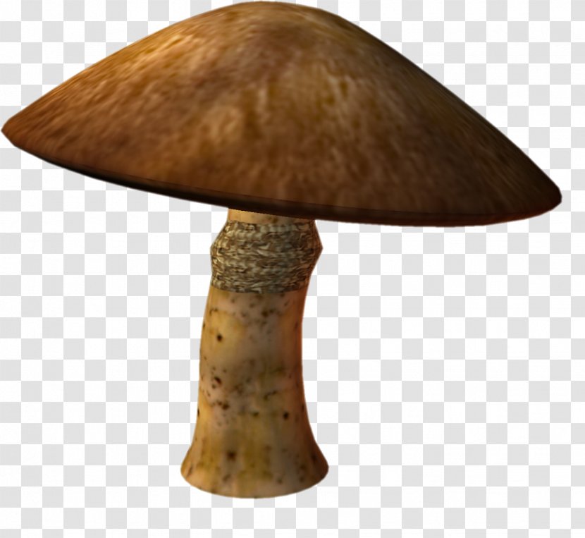 Mushroom - Lamp - Table Transparent PNG