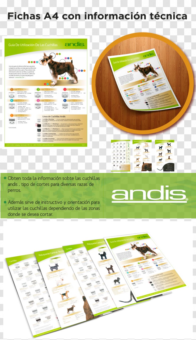 Pamphlet Poster Brochure Brand - Andis - Mercado Transparent PNG