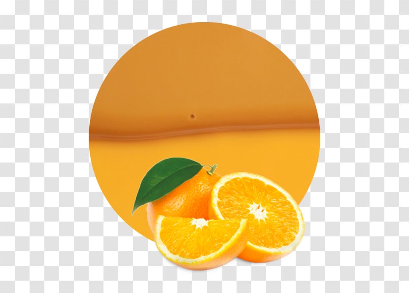 Orange Juice Tangelo Mandarin - Concentrate Transparent PNG