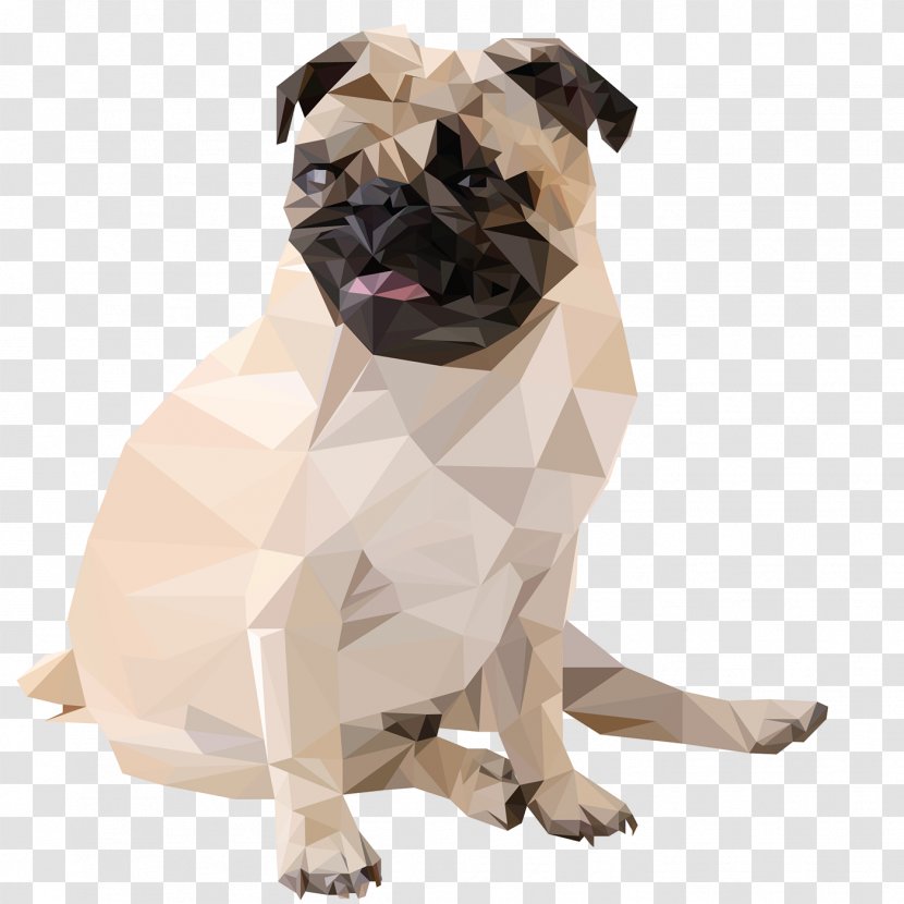 Pug Puppy Dog Breed Fawn Companion - Carnivoran - Pugs Transparent PNG