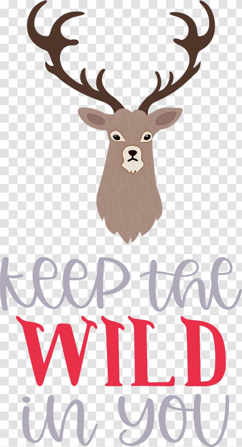 Keep Wild Deer Transparent PNG