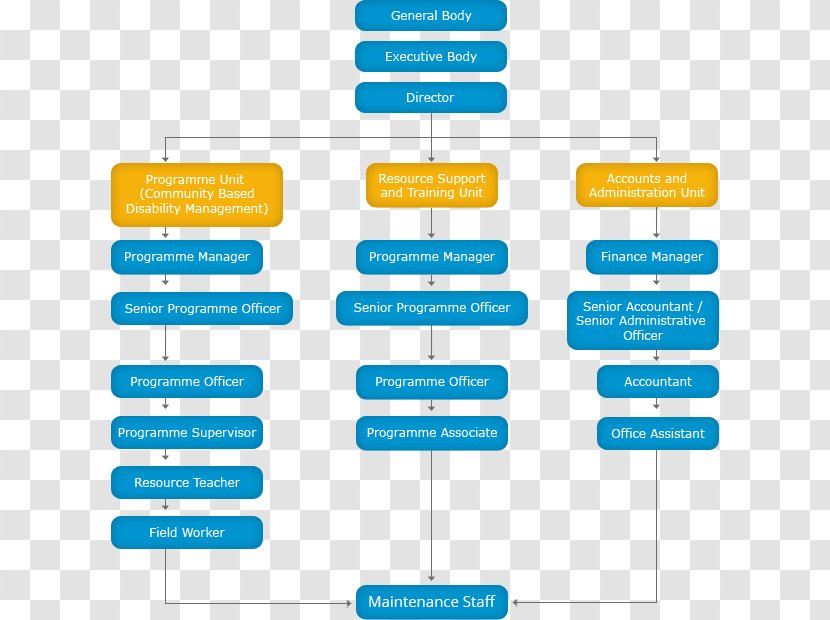 Organizational Chart Communication Committee Structure - Microsoft Azure - Tree Of Ashoka Transparent PNG