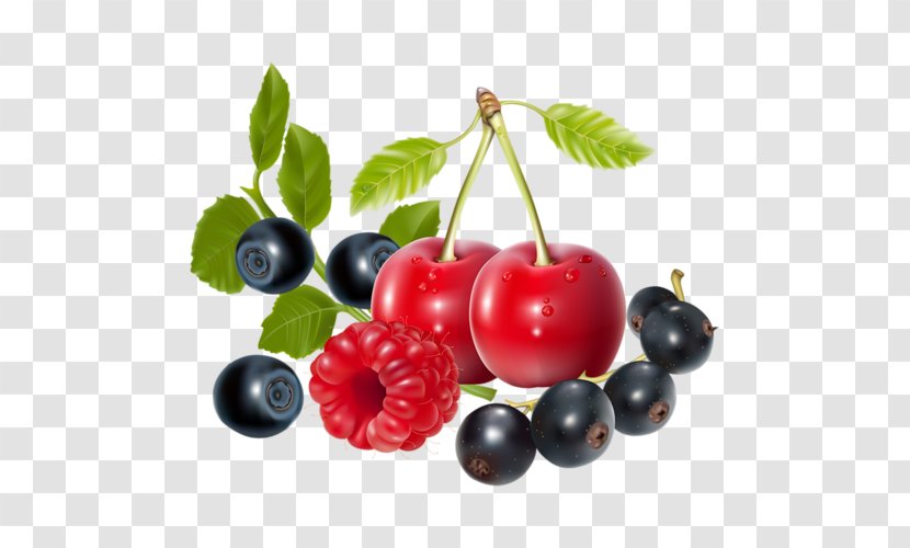Blueberry - Currant - Raspberry Transparent PNG