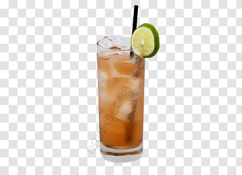 Long Island Iced Tea Bay Breeze Cocktail Garnish - Punch Transparent PNG