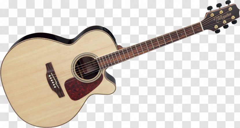 Twelve-string Guitar Steel-string Acoustic Takamine Guitars - Cartoon Transparent PNG