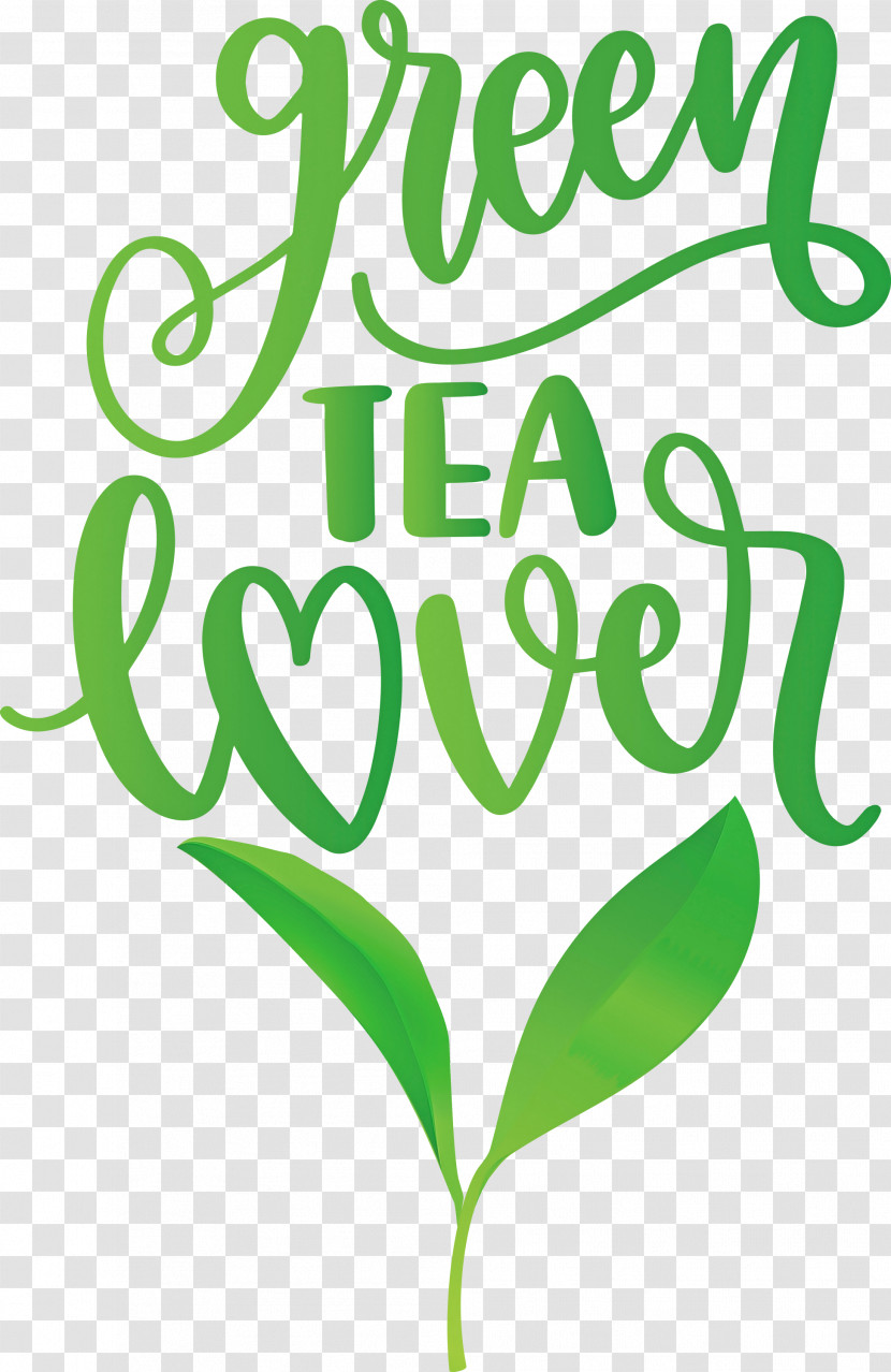 Green Tea Lover Tea Transparent PNG