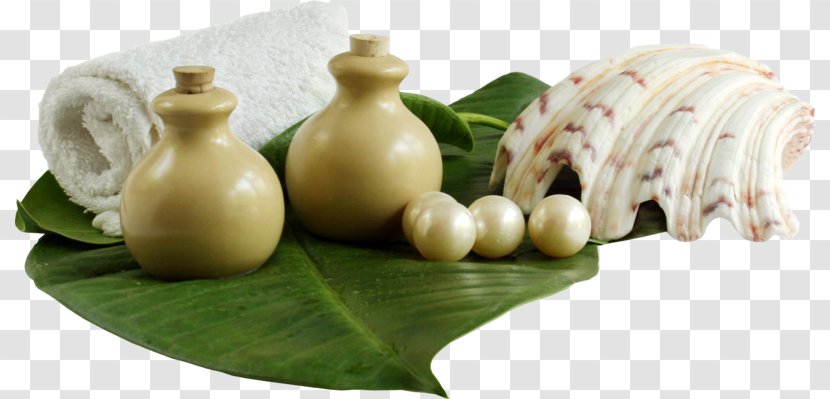 Cosmetics Massage Spa - Hair - Vase Transparent PNG