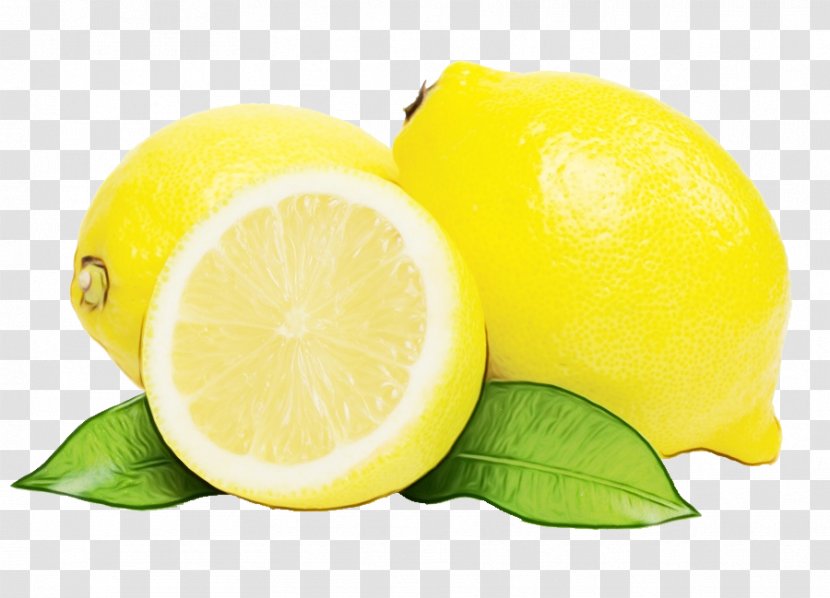Lemon Citrus Yellow Fruit Peel - Paint - Food Lemonlime Transparent PNG