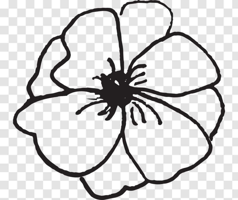 Flower Desktop Wallpaper Clip Art - Drawing Transparent PNG