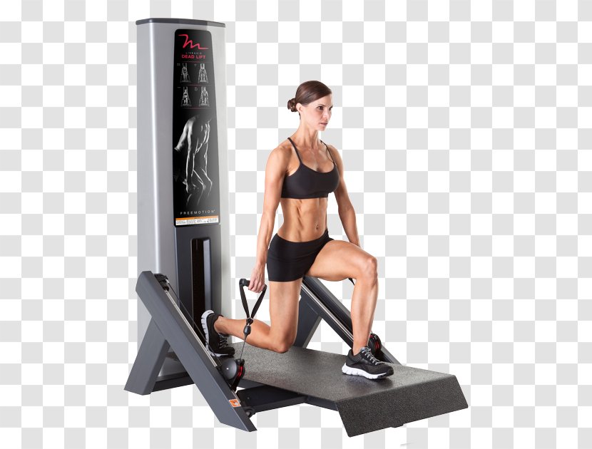 Exercise Equipment Physical Fitness Strength Training Centre - Cartoon - Gym Equipments Transparent PNG