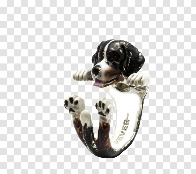 Dog Breed Bernese Mountain Bichon Frise Boston Terrier Puppy - Silver Transparent PNG