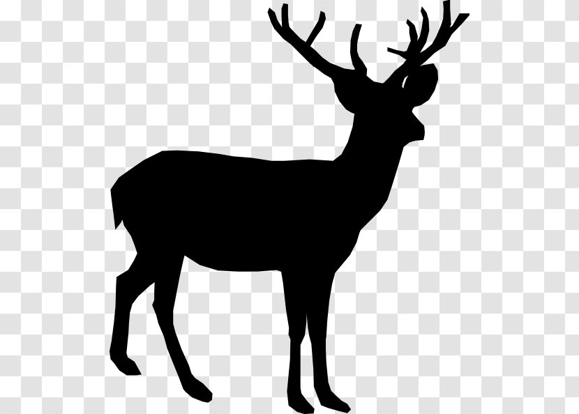The White-tailed Deer Reindeer Clip Art - Mule - Brian Cliparts Transparent PNG