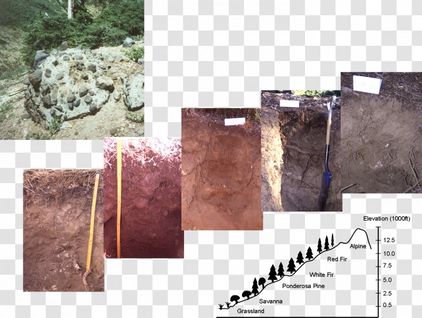 Soil Science Pedology Edaphology - Geotechnical Engineering Transparent PNG